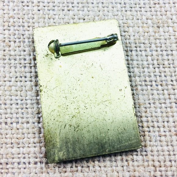 Vintage San Diego Zoo 75th Birthday Metal Lion Pin