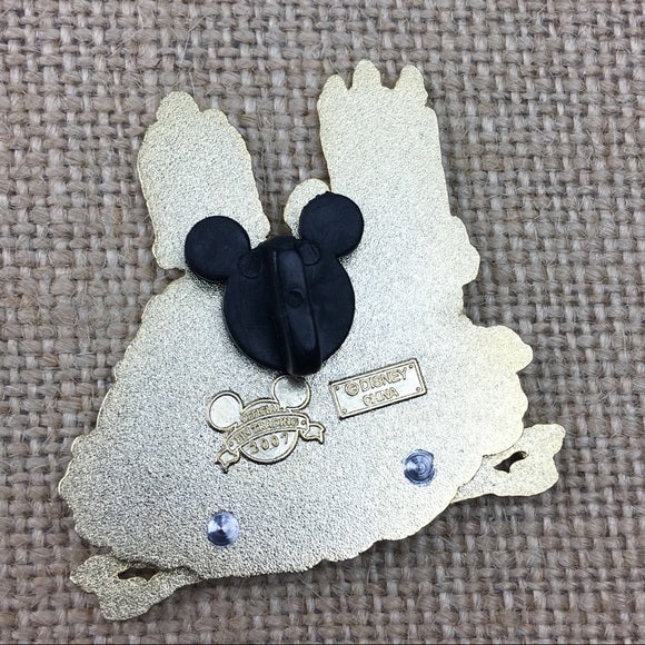 Disney Pirates of the Caribbean Caged Parrot 3D Pin