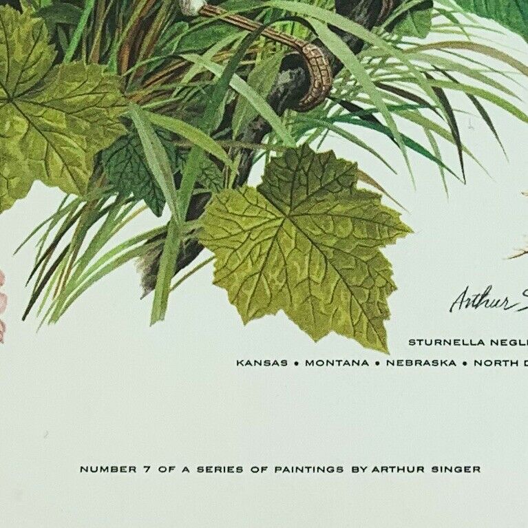 Vintage Arthur Singer Bird Prints Number 7 of a Series