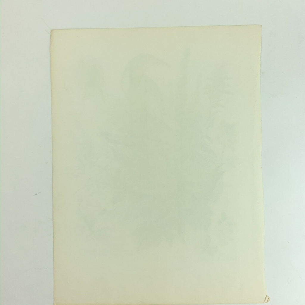 Vintage Arthur Singer Bird Prints Number 7 of a Series