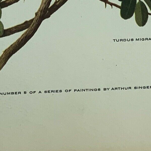 Vintage Arthur Singer Bird Prints Number 5 of a Series