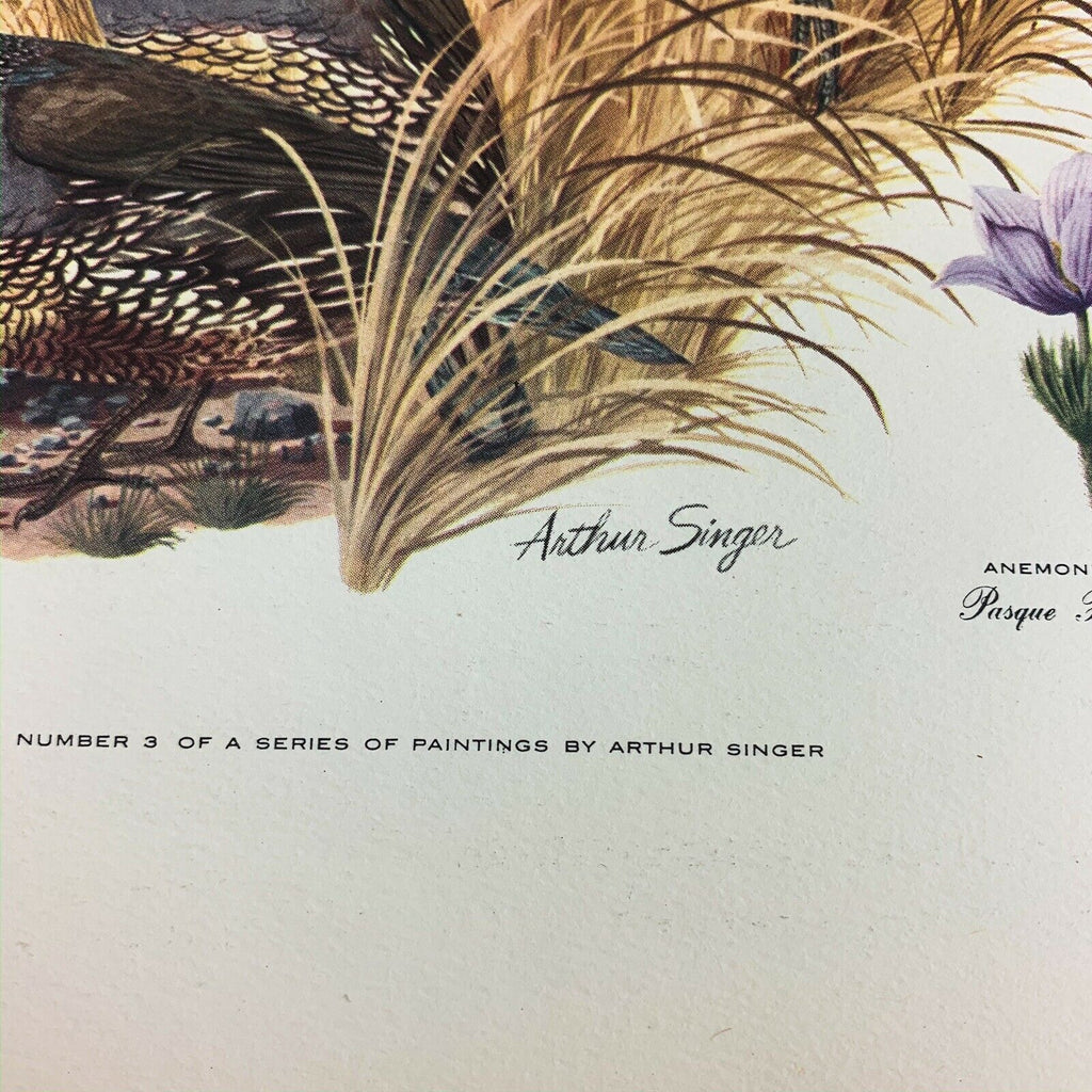 Vintage Arthur Singer Bird Prints Number 3 of a Series