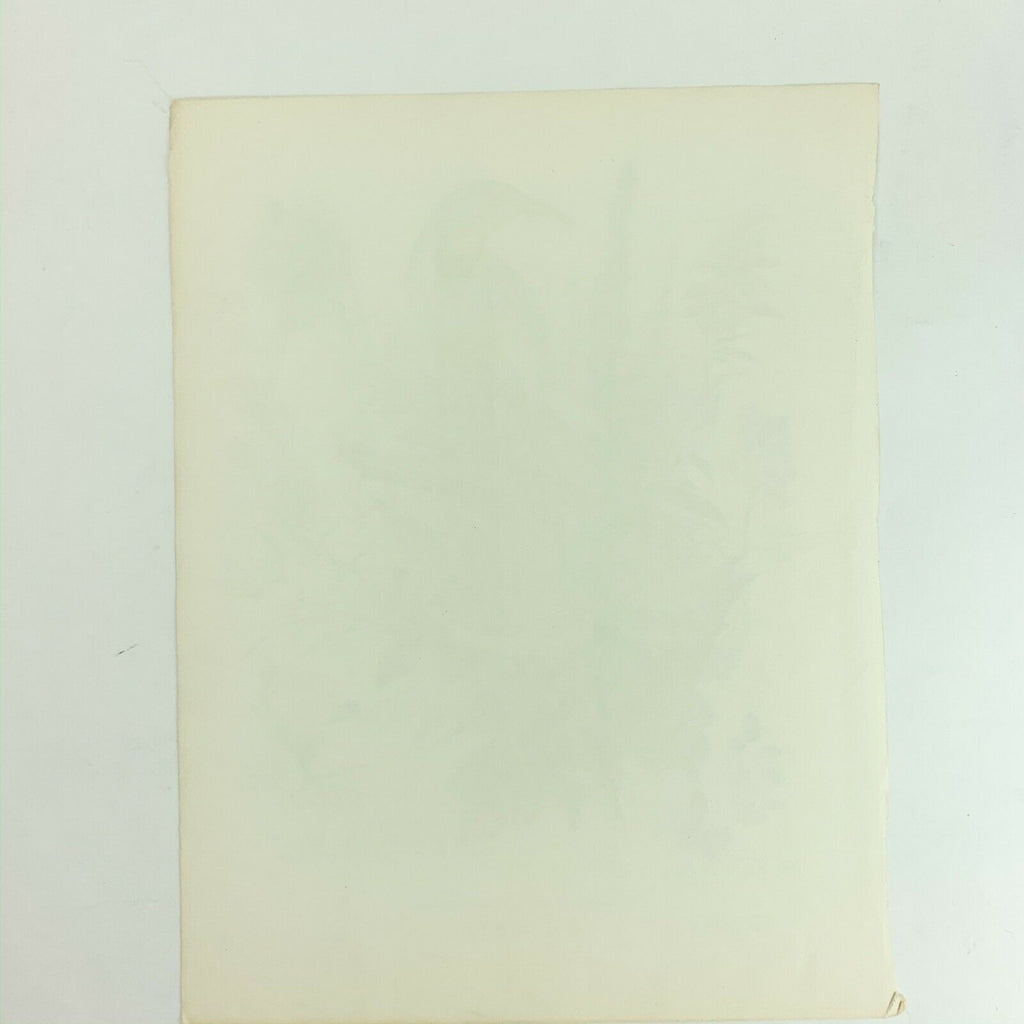 Vintage Arthur Singer Bird Prints Number 8 of a Series