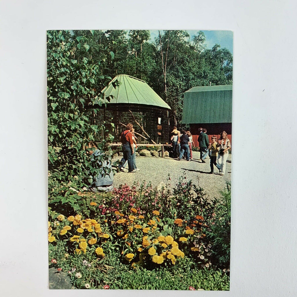 Alaska Zoo Anchorage Park Grounds Postcard