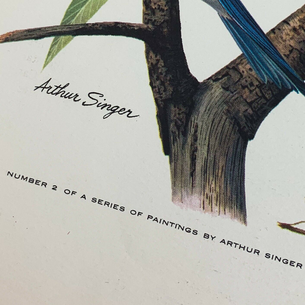 Vintage Arthur Singer Bird Prints Number 2 of a Series