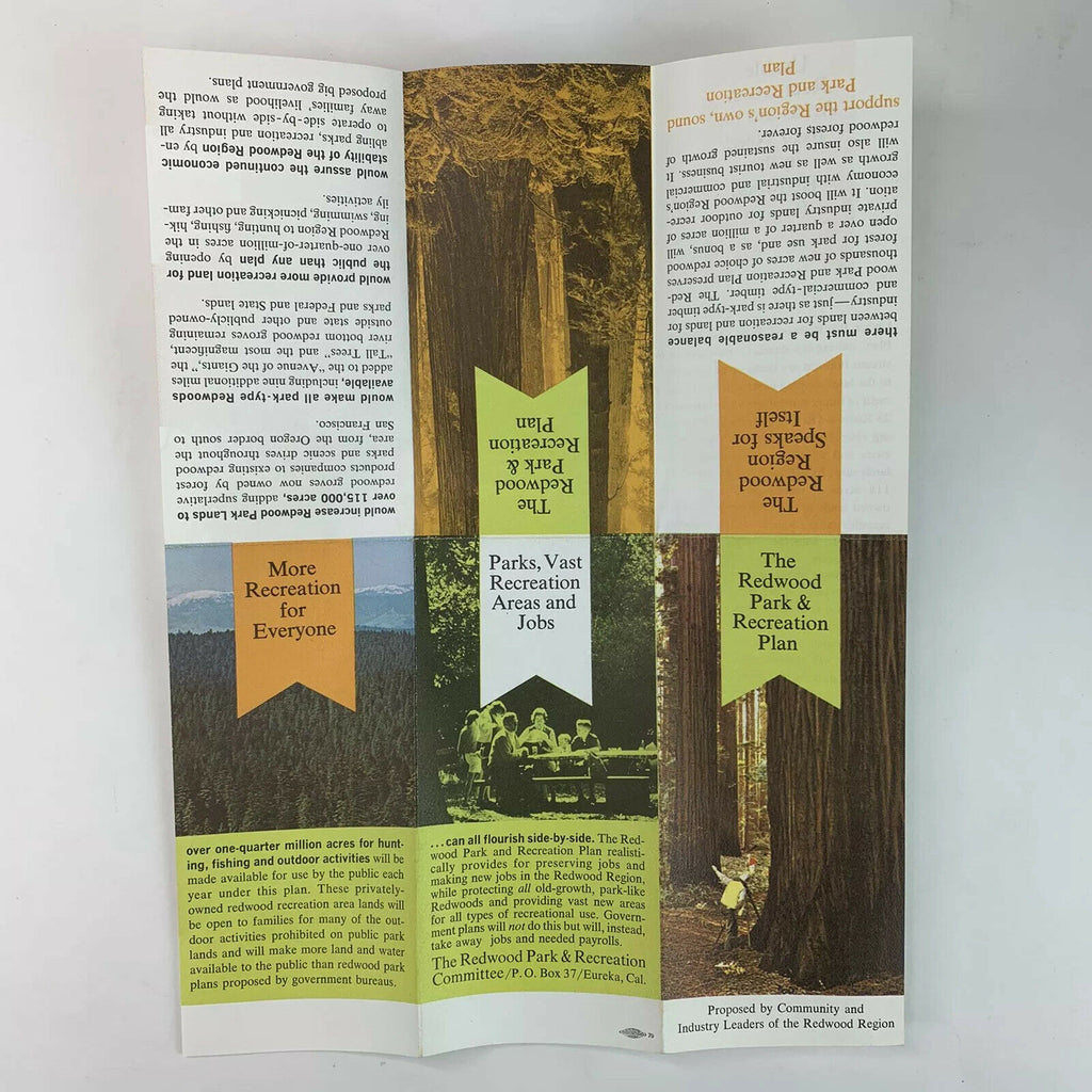 The Redwood Park *Receration Plan Phamplet Brochure