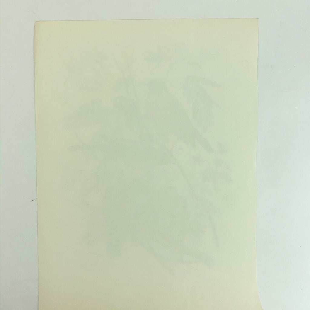 Vintage Arthur Singer Bird Prints Number 4 of a Series