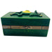 Secret Stash Wood Green Frog Decorative Box
