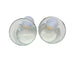 Titleist Clear William Murray Whiskey Glasses with Embedded White Golf Balls - Set of 2