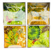 Vintage J Brinley Botanical Art Glass Hot Plate Tiles