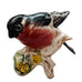 Vintage Beswick Porcelain Bird Bullfinch Figurine