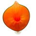 Vintage Jack The Pulpit Orange  Art Glass Vase