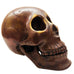 Skull Head Metal Display Decor Statue Figure