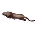 Vintage Bronze Lion Figurine