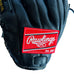 Rawlings Trap-eze The Gold Glove Co. G601B Player Baseball