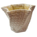 Vintage Belleek Ireland Spiral Limpet Shell Vase