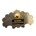 Disney’s Paradise Pier Hotel California Adventure DCA DLR Pin