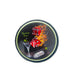 Michael Godard Santa Barbara Ceramics Olive Party Art Coasters