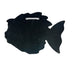 Olga Londono Art Large Fish St. Thomas USVI Wall Decor