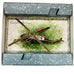 THE WHITE HOUSE Christmas 2019 Eisenhower Helicopter Ornament