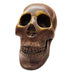 Skull Head Metal Display Decor Statue Figure