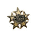 The Disney Store Stars Pin