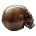 Skull Head Metal Display Decor Statue Figure
