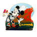 Disney California Adventure DCA Exclusive Minnie Mouse Established 2001 Pin