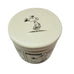 Hallmark Peanuts Snoopy Comic Strip Ceramic Box New