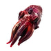Squid Hand Blown Art Glass Pended Figurine
