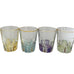 Colored Glass Shot Glasses with Gold Rim Set of 4