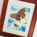 Rachel Walker Butterfly Clockwork Signed Framed Art