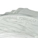 Lalique France Frosted Glass Fern Pattern Signed Vase