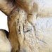 Vintage Guido Cacciapuoti Elephant Figurine Italy Signed Ceramic Porcelain 4PC