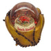 Busch Stadium Snow Globe in Baseball Glove Music Waterglobe