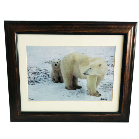 Polar Bear Nature Signed Limited Edition Framed Art Print