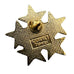 The Disney Store Stars Pin
