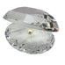 Vintage Swarovski Crystal Oyster Clam Shell with Pearl