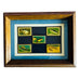 Vintage Fish USA USPS Postage Stamp Metal Lapel Pin Lot Matted & Framed