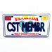 Disney Walt Disney World Florida Cast Member License Plate 2010 First Release Pin