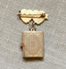 Vintage Mother Of Pearl Locket Pendent Pin Brooch