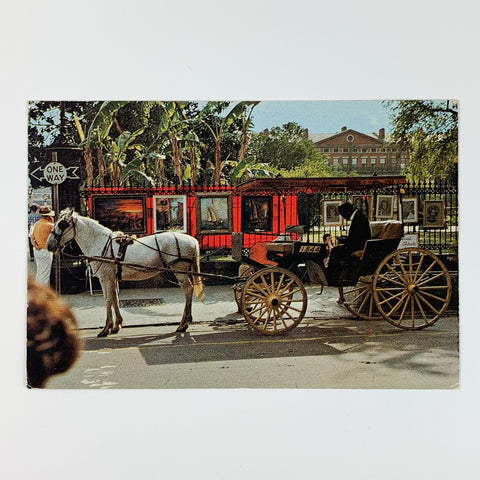 French Quarter Sightseeing Carriage Horse New Orleans Louisiana Postcard