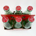Vintage Coca Cola World Cup USA 1994 Collector Series