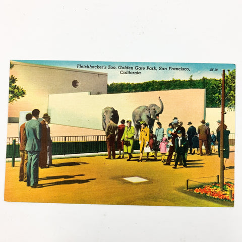 Fleishhacker's Zoo Golden Gate Park San Francisco CA Unused Linen Postcard