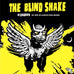 The Blind Shake Amy Jo Rock Roll Concert Poster