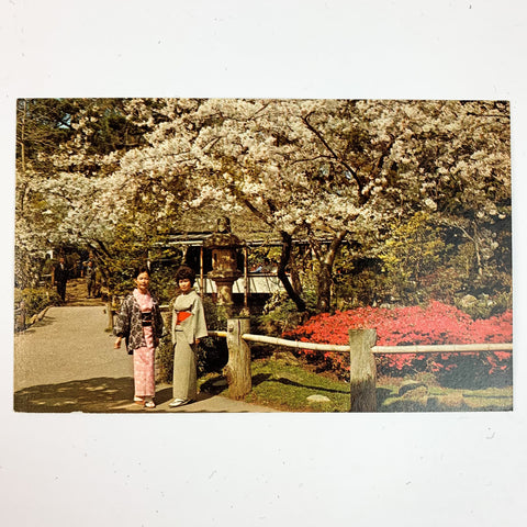 Japanese Tea Garden Golden Gate Park San Francisco California Postcard