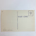 Vintage Greetings from Illinois Large Letters Postcard