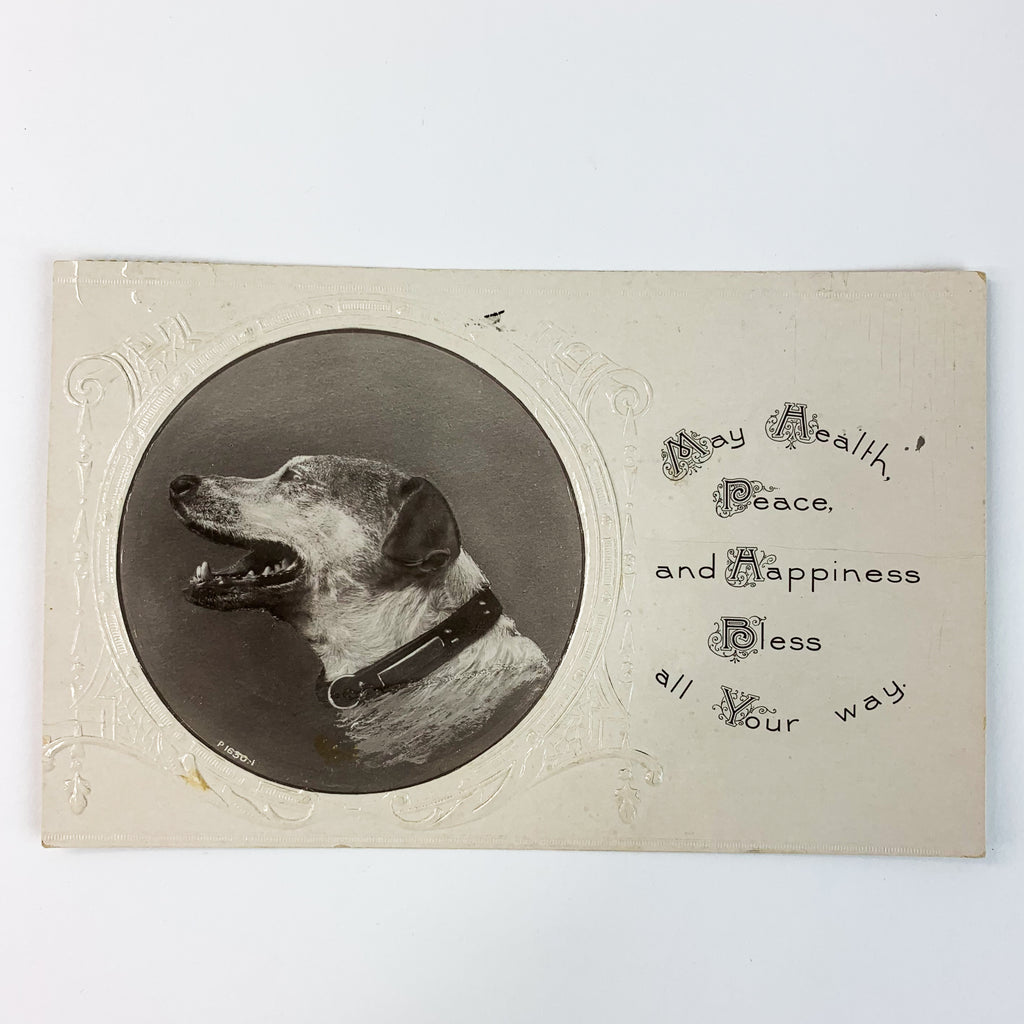 Vintage Embossed Card Dog Photo Grettings Postcard