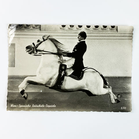 Vintage Man Riding Horse Real Photo Postcard Posted London 1959