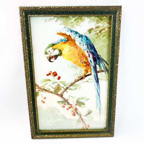 Vintage 1923 Catherine Klein Macaw Parrot Wall Print